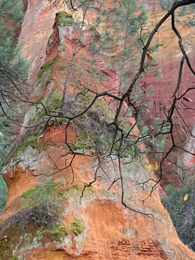 Villa Des Roses Roussillon en Isere Exteriér fotografie