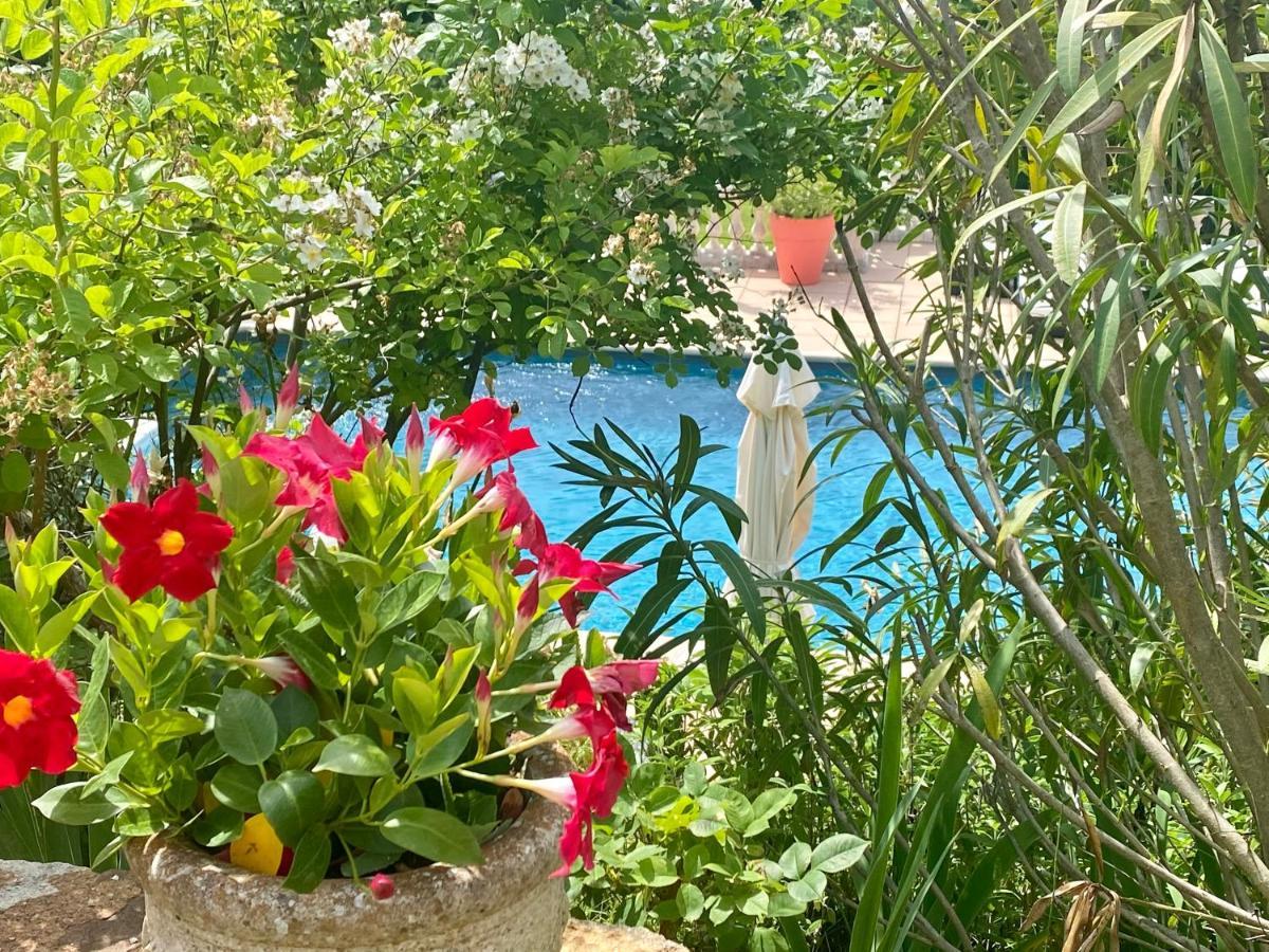 Villa Des Roses Roussillon en Isere Exteriér fotografie