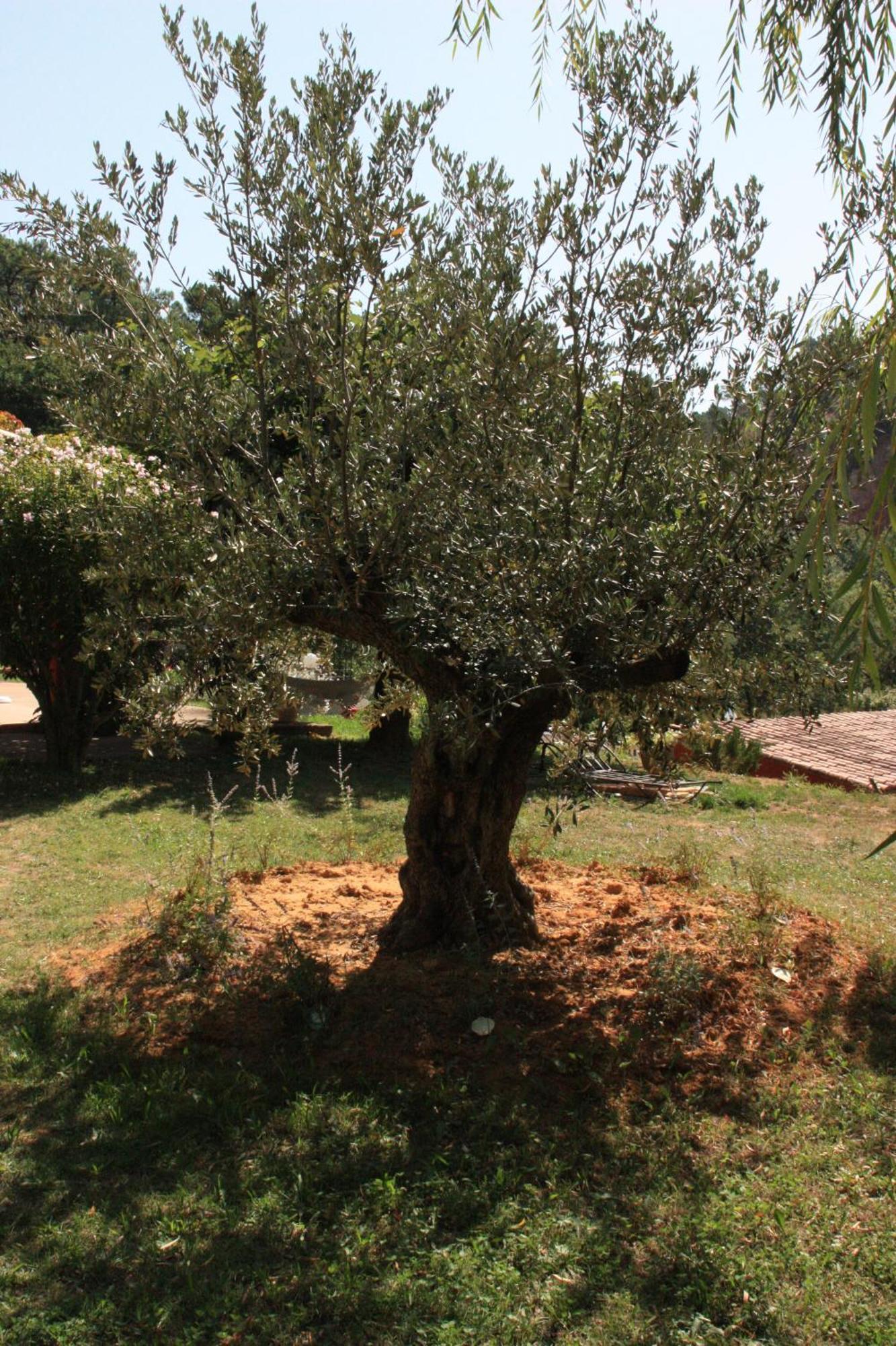 Villa Des Roses Roussillon en Isere Exteriér fotografie