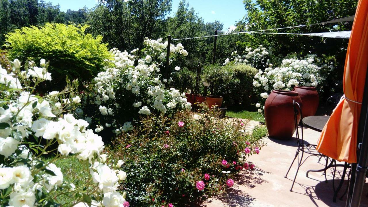 Villa Des Roses Roussillon en Isere Exteriér fotografie